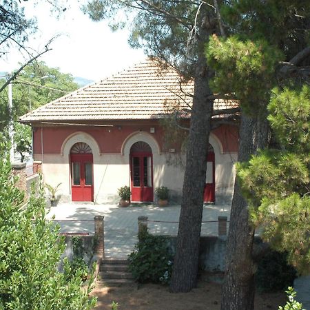 B&B Sotto I Pini Zafferana Etnea Exterior foto