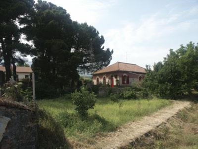 B&B Sotto I Pini Zafferana Etnea Exterior foto