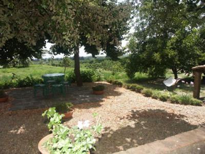 B&B Sotto I Pini Zafferana Etnea Exterior foto